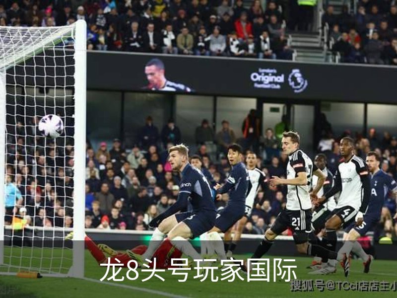 龙8头号玩家国际简介